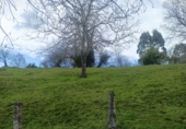 Finca rústica en venda a la España, Llanes, ref.: TR277898 foto