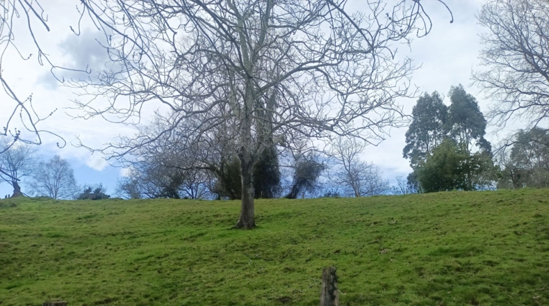 Asturias - Llanes - 4200m2