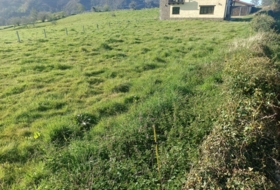 Vilde 990&nbsp;m²
