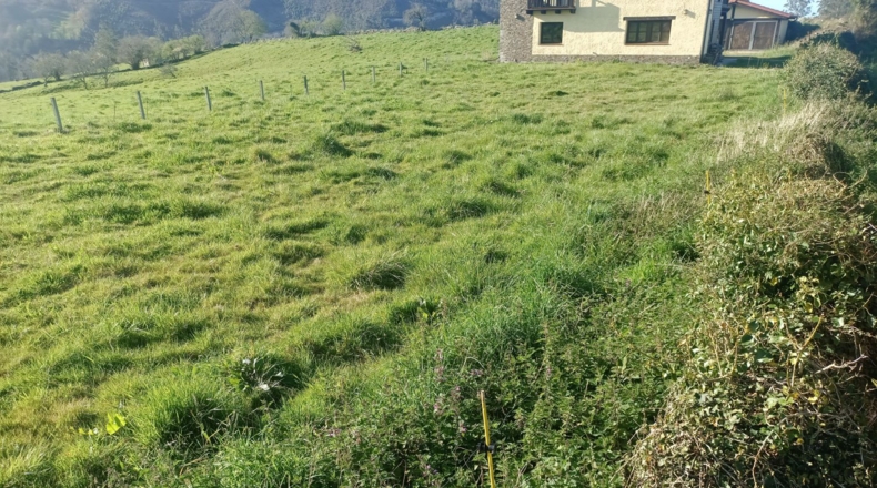 Asturias - Vilde - 990m2