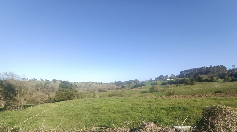 Asturias - Vilde - 1800m2