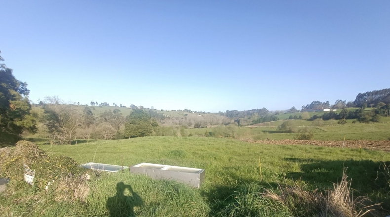 Asturias - Vilde - 1800m2