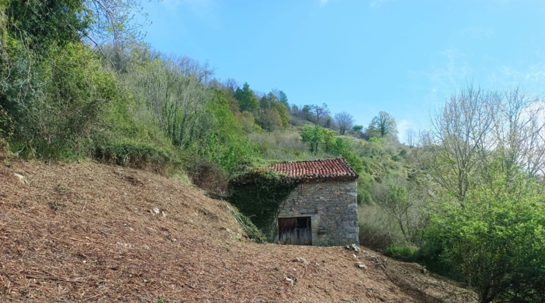 Asturias - Carreña - 5712m2