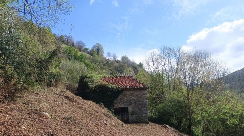 Asturias - Carreña - 5712m2