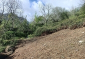 Finca rústica en venda a la España, Arenas de Cabrales, ref.: TR277901 foto