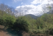 Finca rústica en venda a la España, Arenas de Cabrales, ref.: TR277901 foto