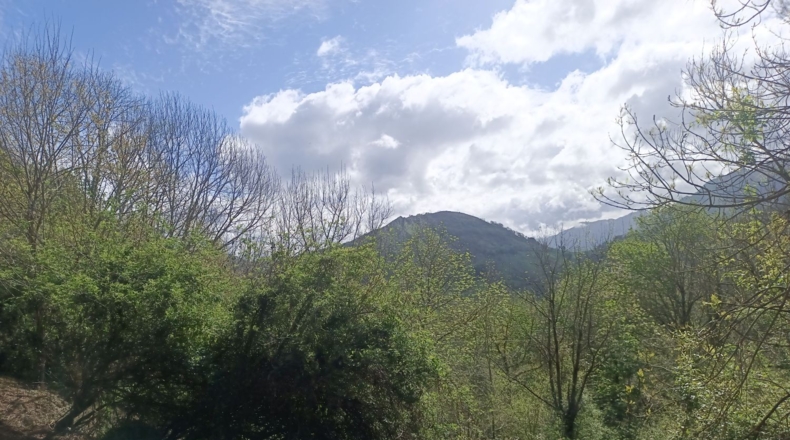 Asturias - Carreña - 5712m2