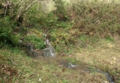Finca rústica en venda a la España, Arenas de Cabrales, ref.: TR277901 foto
