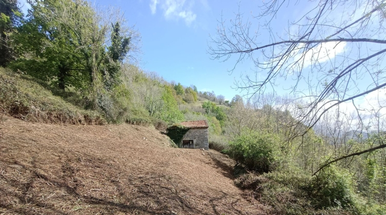 Asturias - Carreña - 5712m2