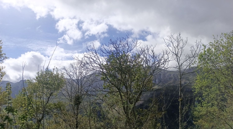 Asturias - Carreña - 5712m2