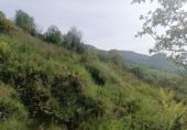 Finca rústica en venta en la España, Llanes, ref: TR233971 foto