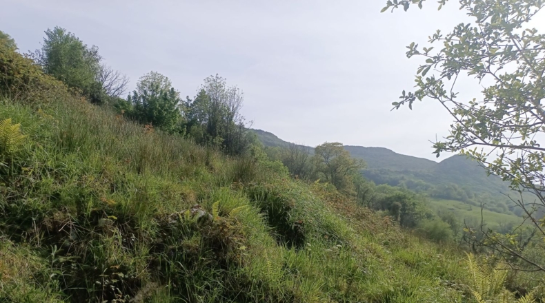 Asturias - Llanes - 6400m2