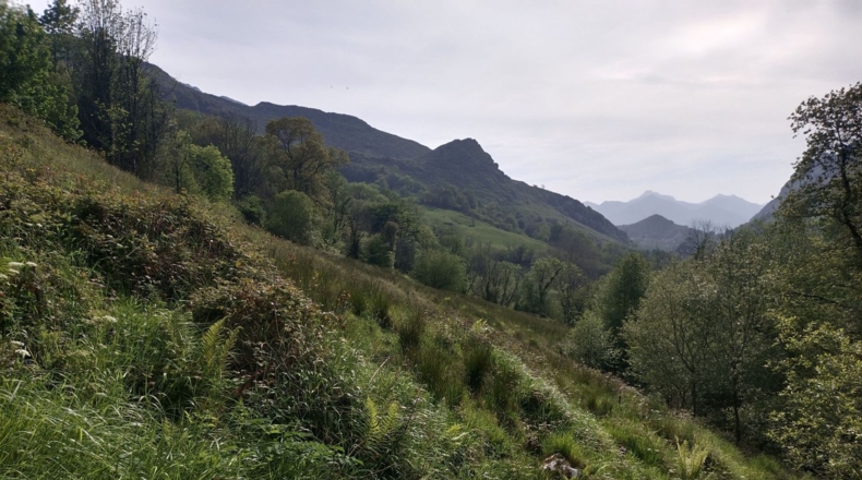 Asturias - Llanes - 6400m2