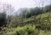 Finca rústica en venta en la España, Llanes, ref: TR233971 foto