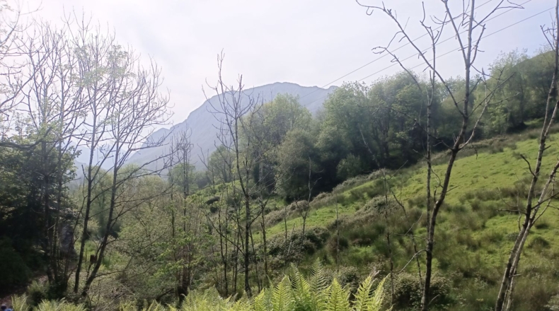 Asturias - Llanes - 6400m2