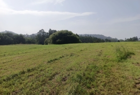 Vilde 1755&nbsp;m²