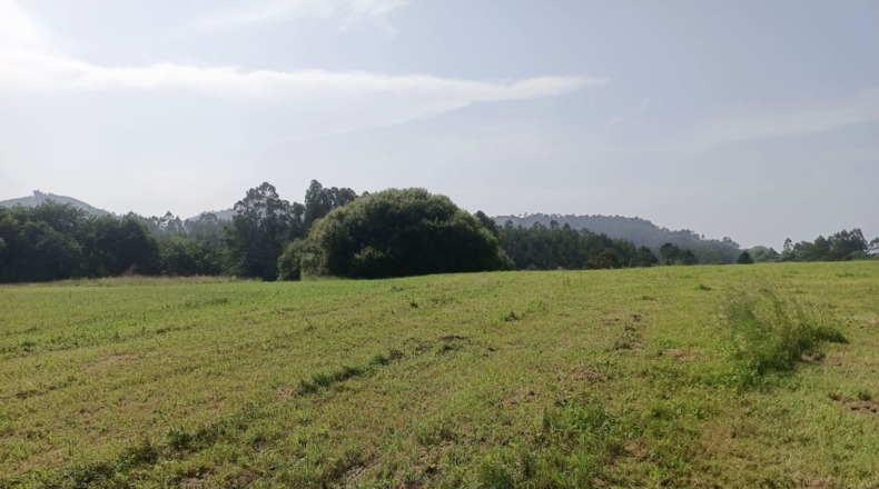 Asturias - Vilde - 1755m2