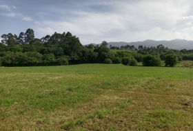 Vilde 1755&nbsp;m²