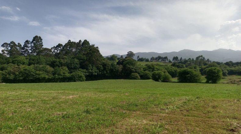 Asturias - Vilde - 1755m2