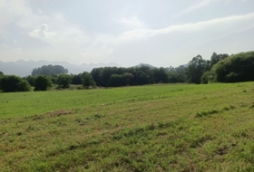 Vilde 1755&nbsp;m²