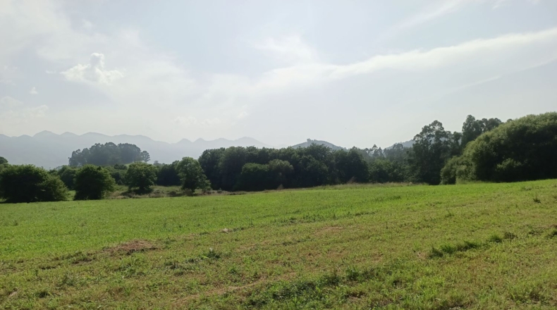 Asturias - Vilde - 1755m2