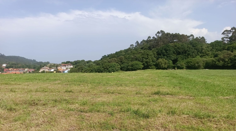 Asturias - Vilde - 1755m2