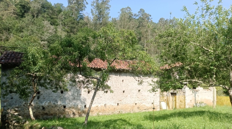 Astúries - Llanes - 110000m2