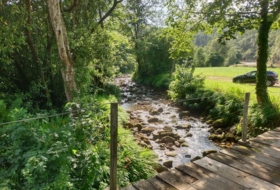 Foto 11