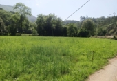 Finca rústica en venda a la España, Nueva, ref.: TR256241 foto