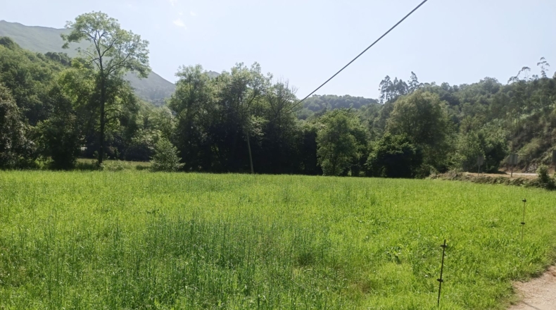Astúries - Llanes - 110000m2