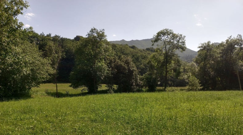 Astúries - Llanes - 110000m2