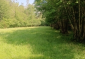 Finca rústica en venda a la España, Nueva, ref.: TR256241 foto