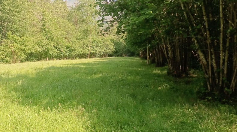 Astúries - Llanes - 110000m2