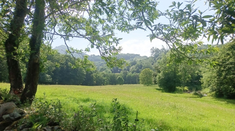 Astúries - Llanes - 110000m2