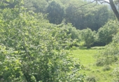 Finca rústica en venda a la España, Nueva, ref.: TR256241 foto