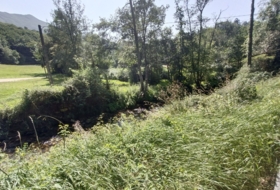 Foto 19