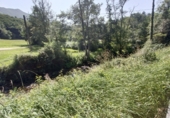 Finca rústica en venda a la España, Nueva, ref.: TR256241 foto