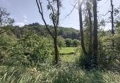 Finca rústica en venda a la España, Nueva, ref.: TR256241 foto