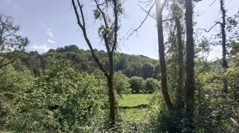 Astúries - Llanes - 110000m2