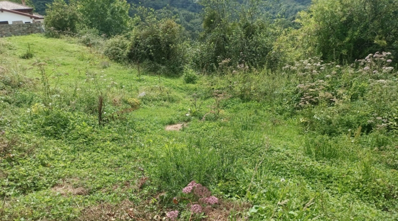 Asturias - Льянес - 300m2