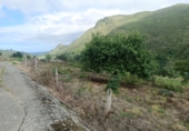 Finca rústica en venta en la España, Llanes, ref: TR307570 foto