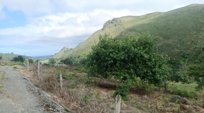 Asturias - Льянес - 2850m2