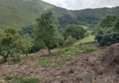 Finca rústica en venta en la España, Llanes, ref: TR307570 foto