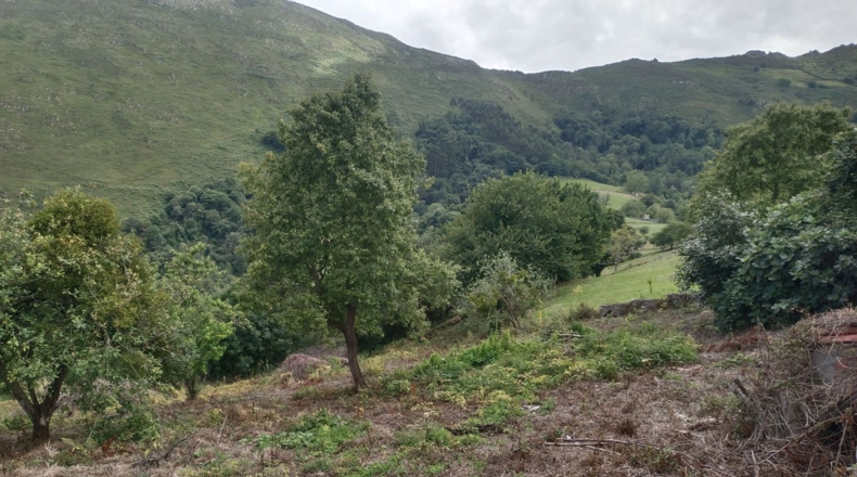 Asturias - Льянес - 2850m2