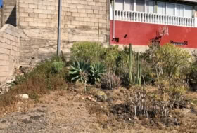 Candelaria 1152&nbsp;м²