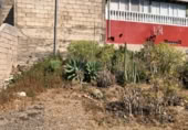 Parcela urbanizable en venta en la Camino La Punta, Candelaria, ref: TR403195 foto