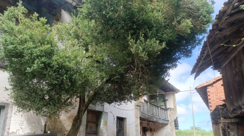 Asturias - Льянес - 200m2