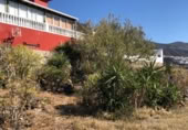 Parcela urbanizable en venta en la Camino La Punta, Candelaria, ref: TR403195 foto