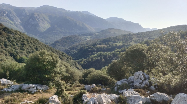 Asturias - Asiego - 7265m2