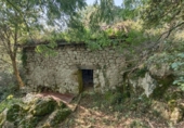 Rural estate for sale on España, Arenas de Cabrales, ref: TR327176 photo